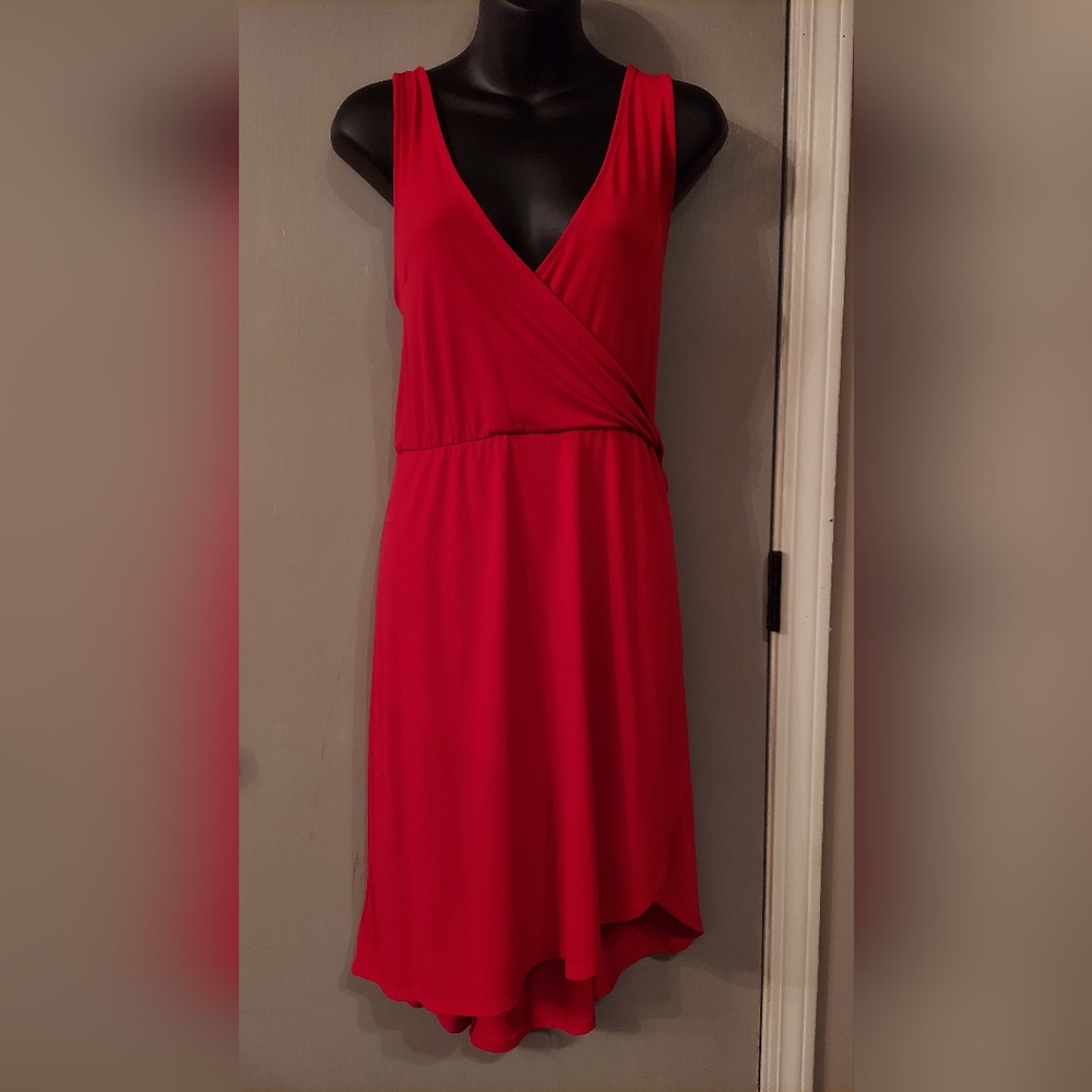 Express Red Dress (XL)